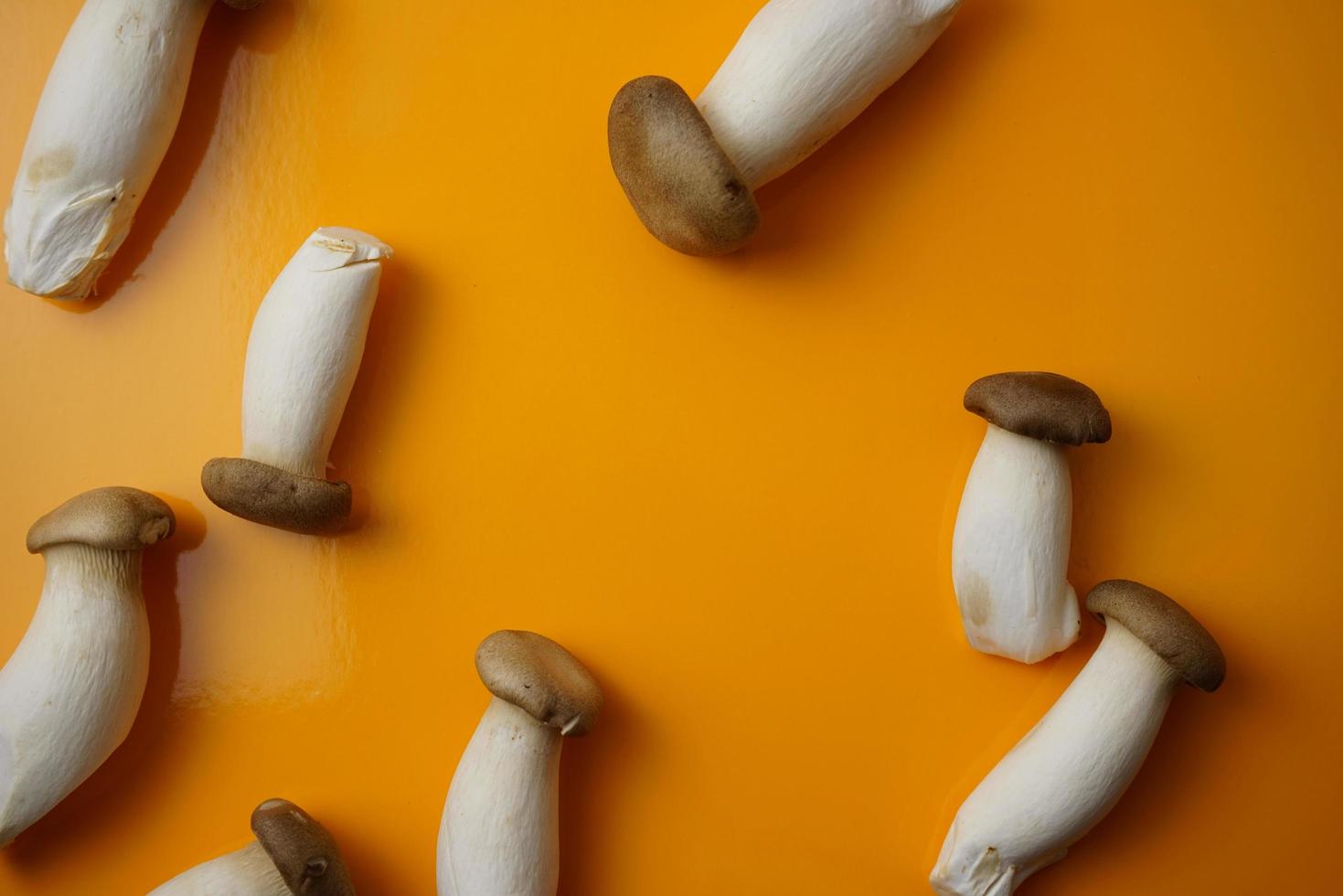 Eatable eringi king trumpet french horn mushroom flat lay full frame on glossy yellow background photo