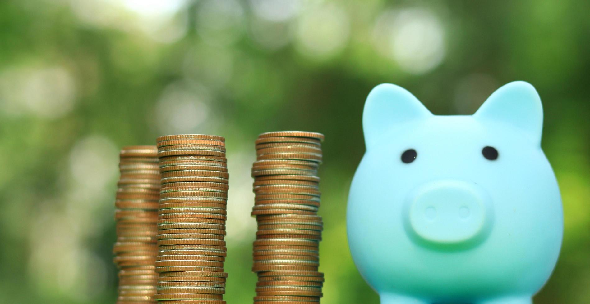 Piggy bank and coins with natural blurred background photo