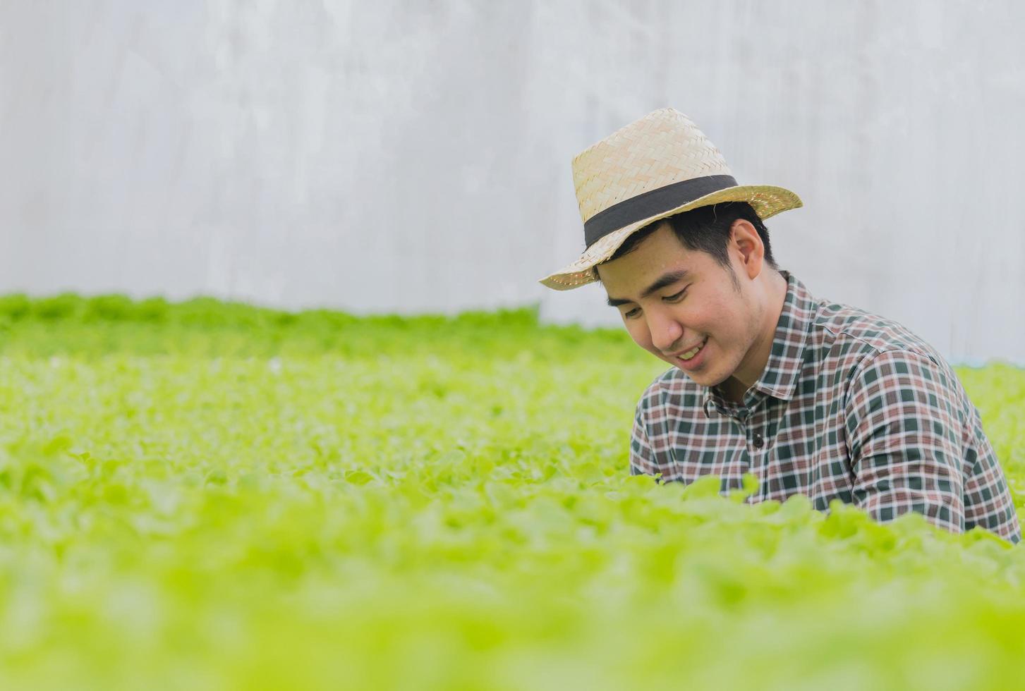Young farmer checking the quality of the vegetables in a hydroponic vegetable farm happily photo