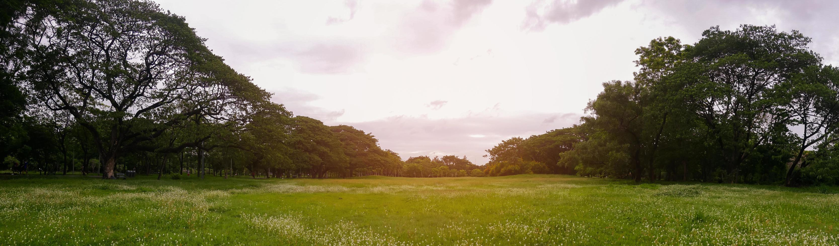 gran parque verde en el centro de la ciudad para relajarse y hacer ejercicio durante las vacaciones foto