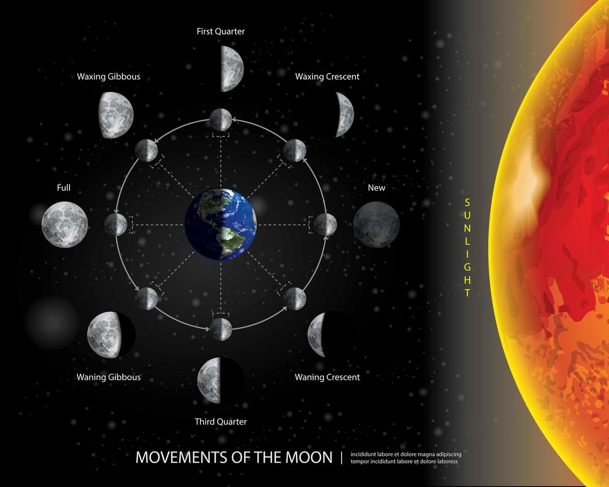 Movement of the Moon Vector illustration
