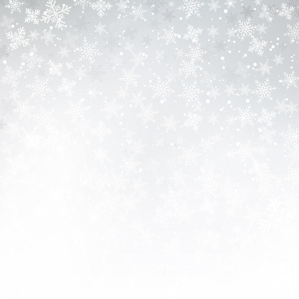 Winter white background christmas made of snowflakes and snow with blank copy space for your text, Vector