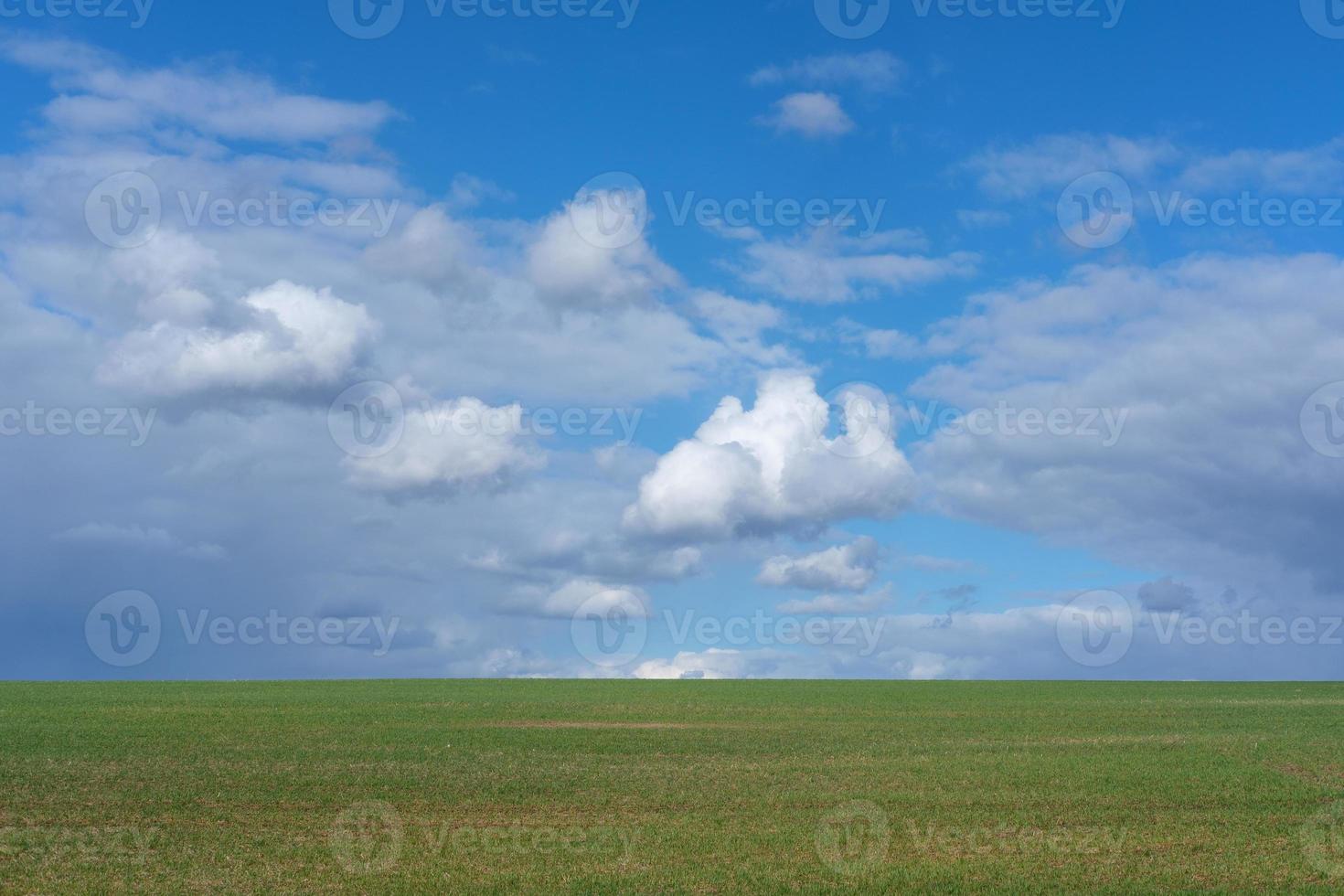 hermoso paisaje de primavera foto