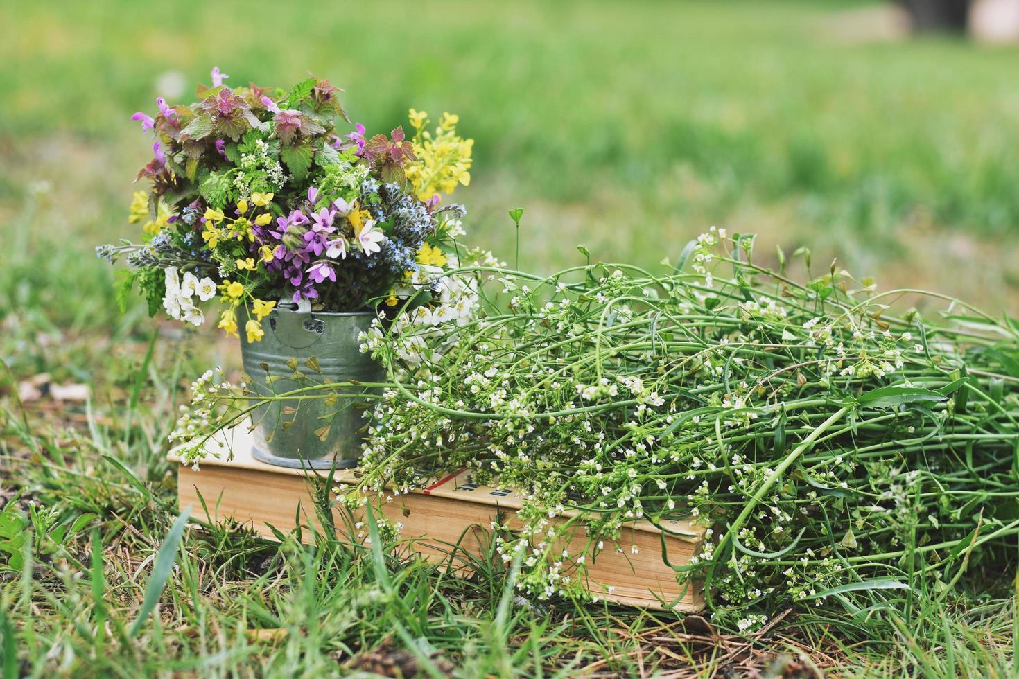 Early Spring Flowers in small bucket Beltane photo