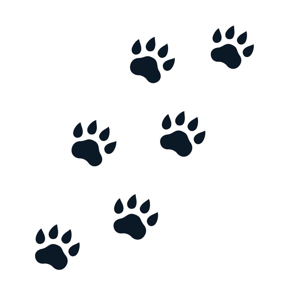 paw footprints on white vector