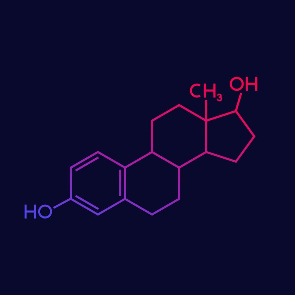 Estradiol molecule vector