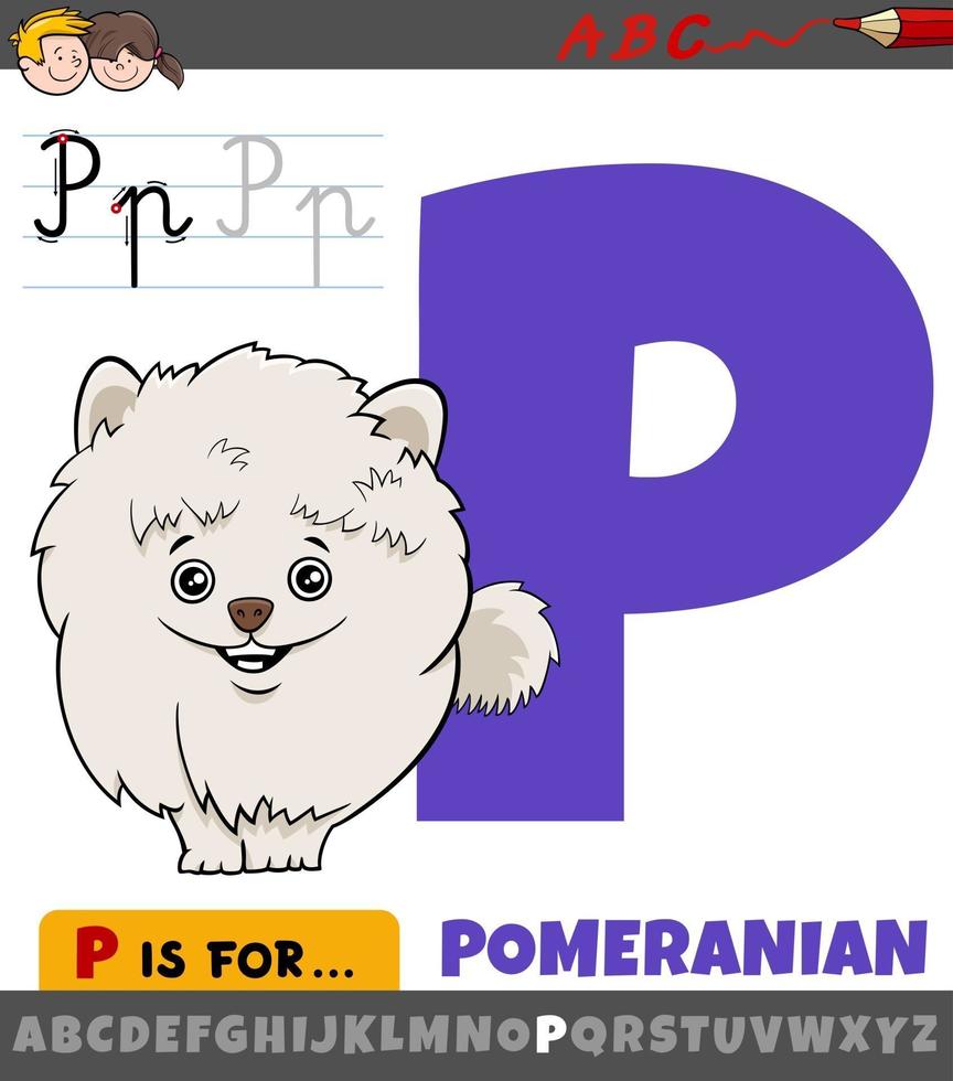 letter P from alphabet with cartoon pomeranian dog character vector