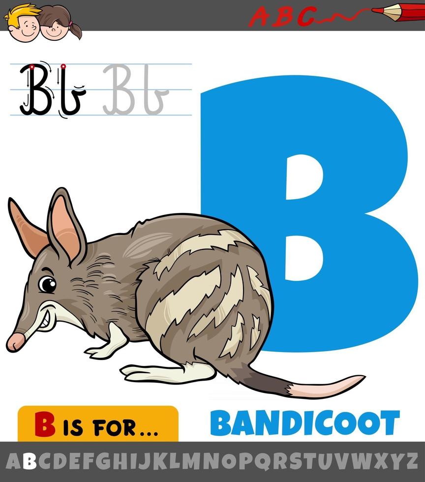 Letra b del alfabeto con animal bandicoot de dibujos animados vector
