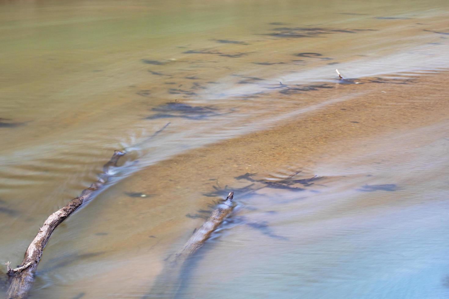 foto de lapso de tiempo del río yadkin en carolina del norte que fluye sobre algunas ramas de árboles