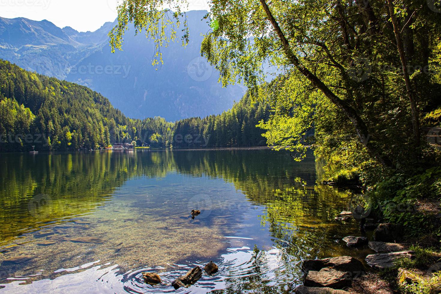 Piburger lake in the Austrian Alps of Tyrol photo