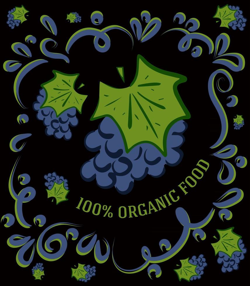 This is a spectacular vintage illustration on a dark background with grapes and the inscription 100 percent organic food vector