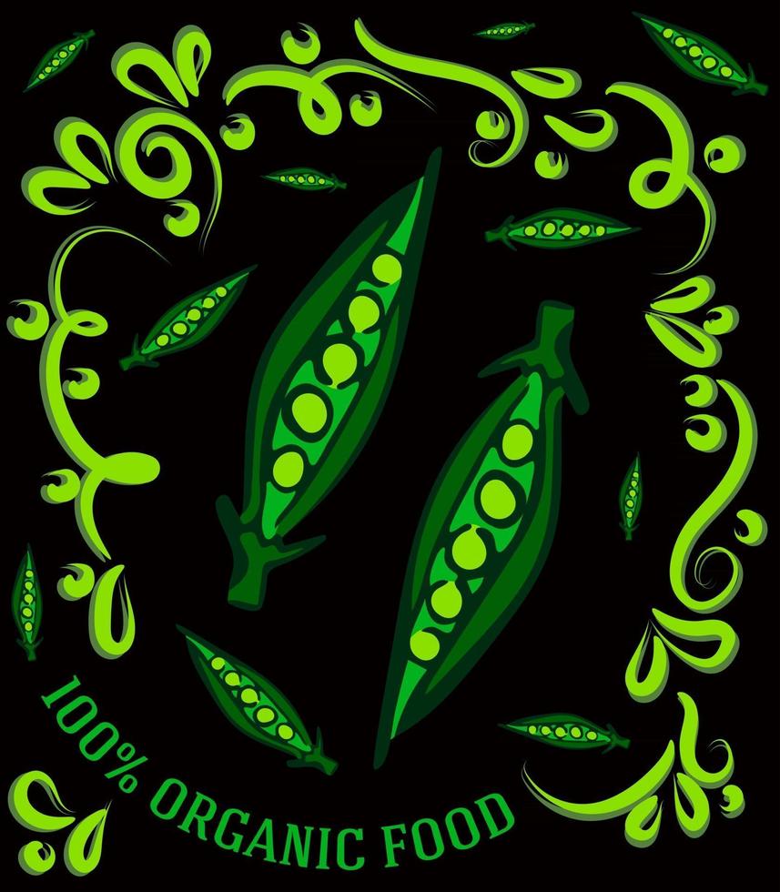 This is a spectacular vintage illustration on a dark background with peas and the inscription 100 percent organic food vector