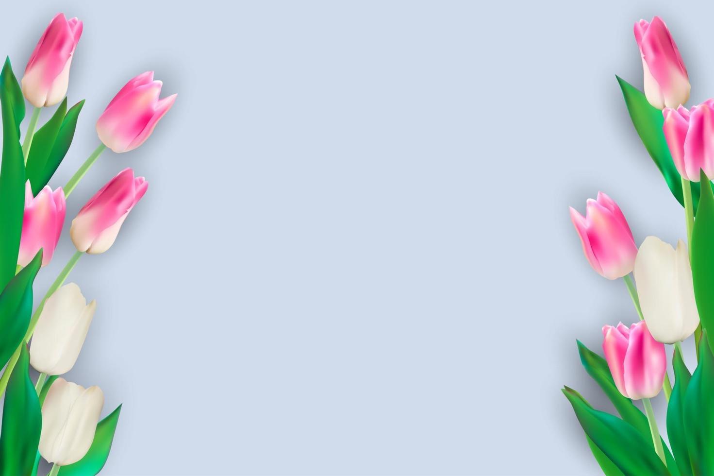 Colorful Tulips Background vector