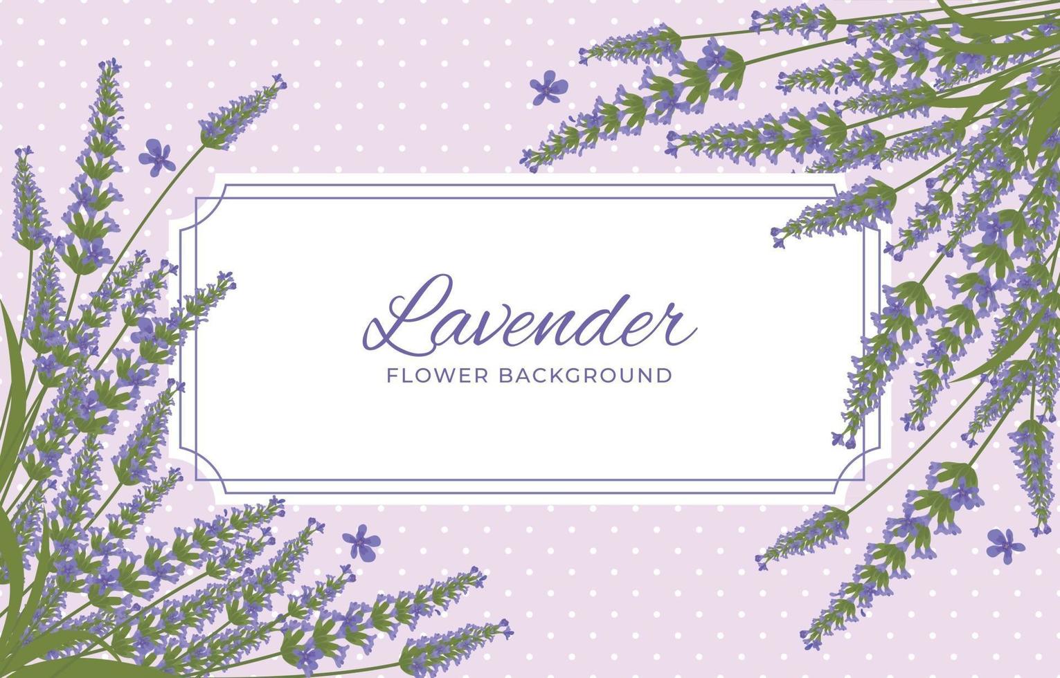 Beauty Lavender Background vector