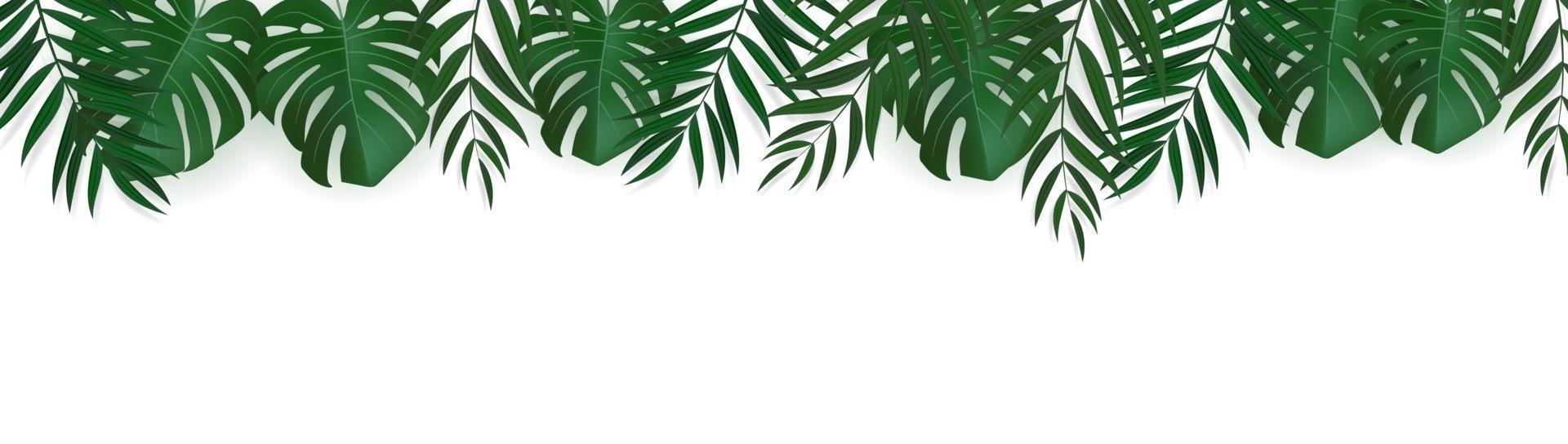 Natural Realistic Green Palm Leaf Tropical Background vector