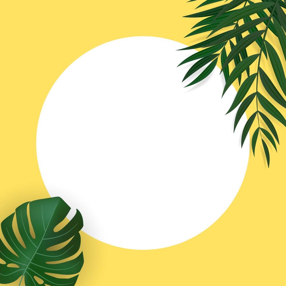 Natural Realistic Green Palm Leaf Tropical Background vector