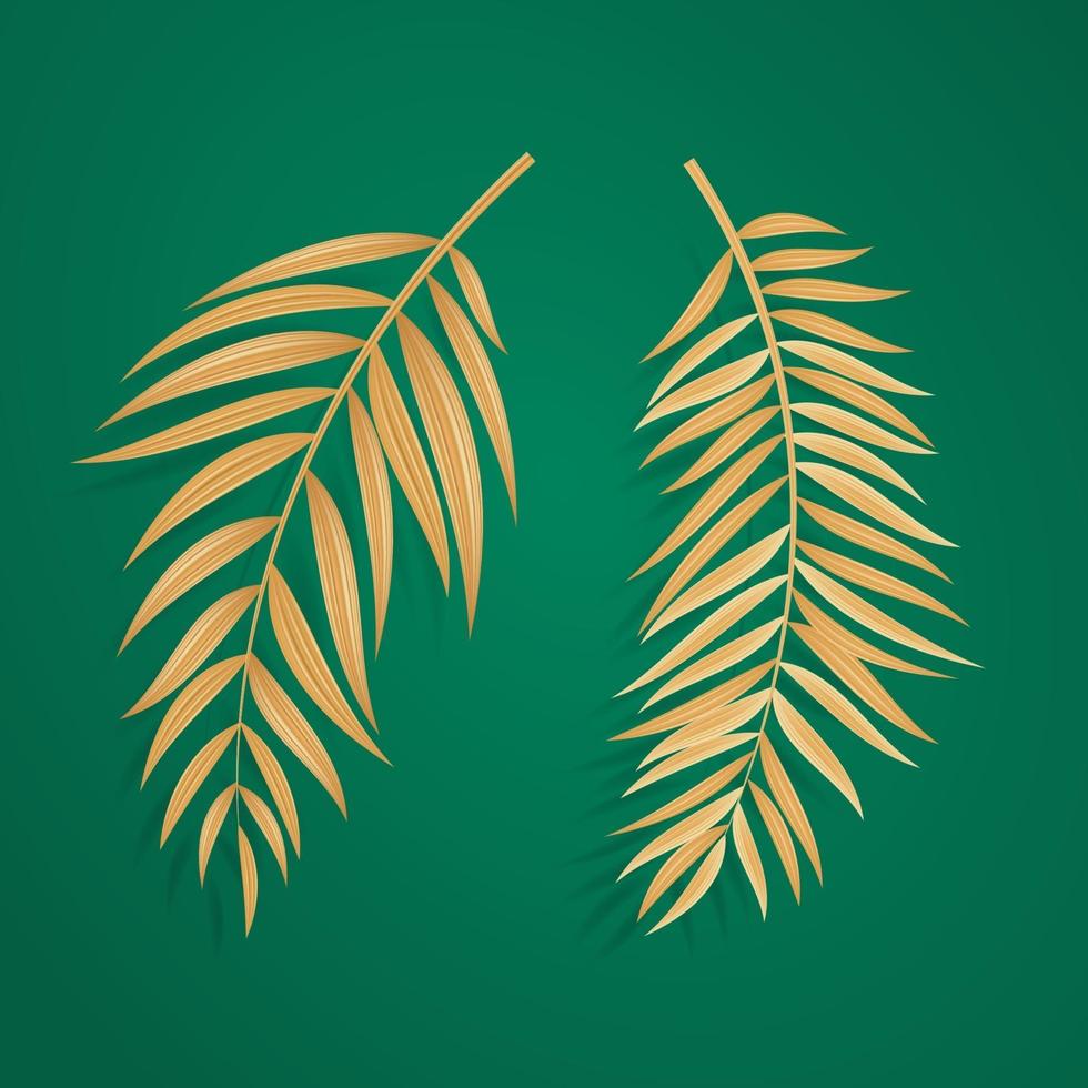 Abstract Realistic Green Palm Leaf Tropical Background vector