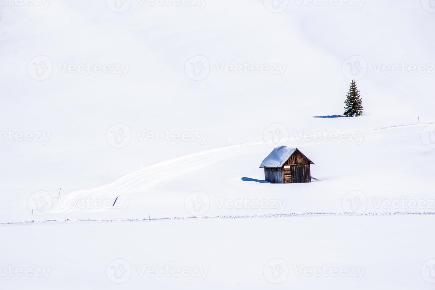 Wooden hut and pine in the snow photo