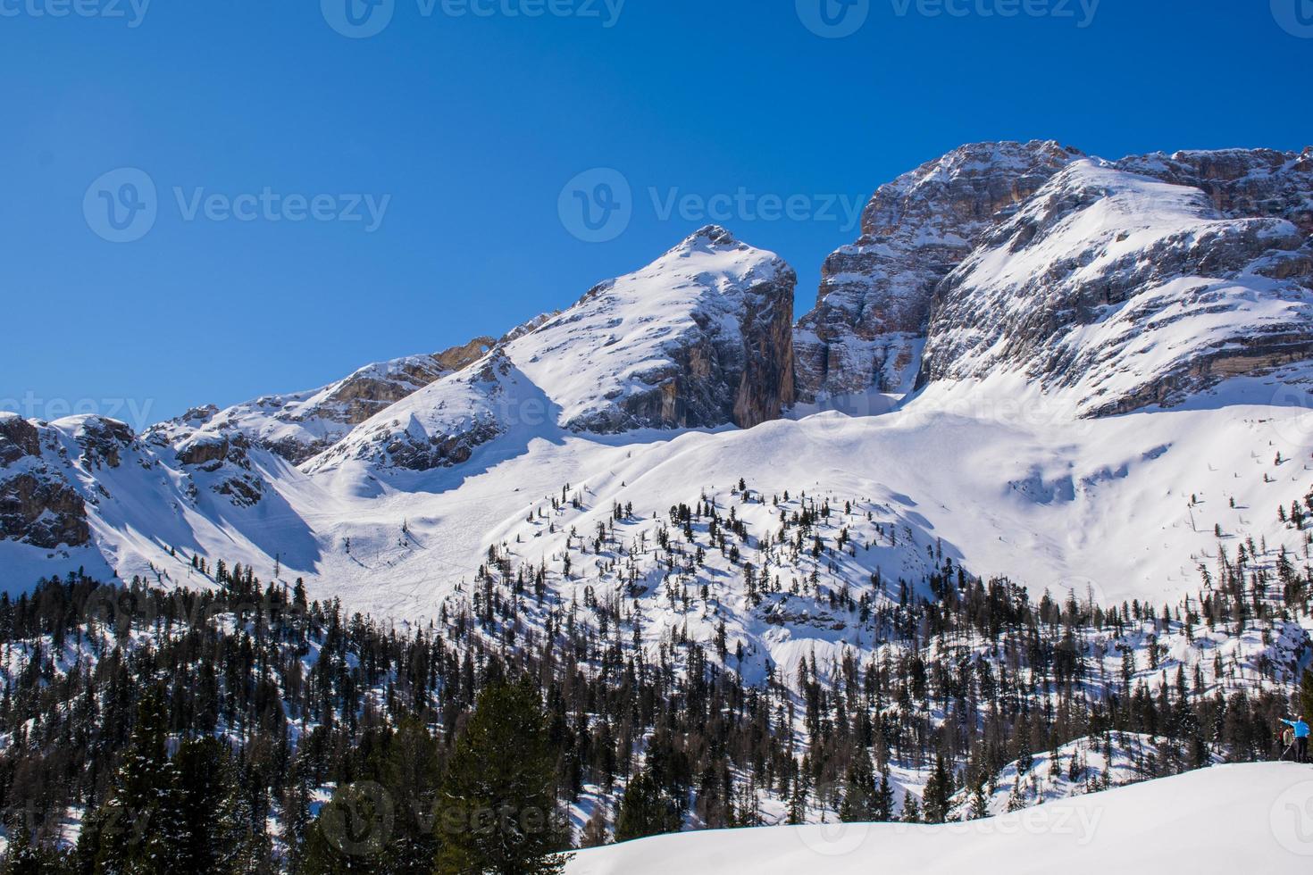 Snowy peaks and pine trees photo