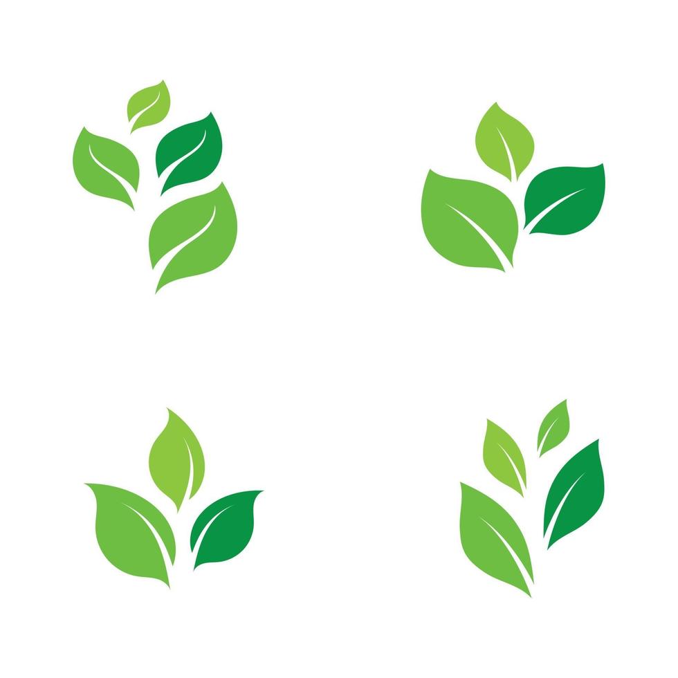 logotipos de la ecología de la hoja del árbol verde vector