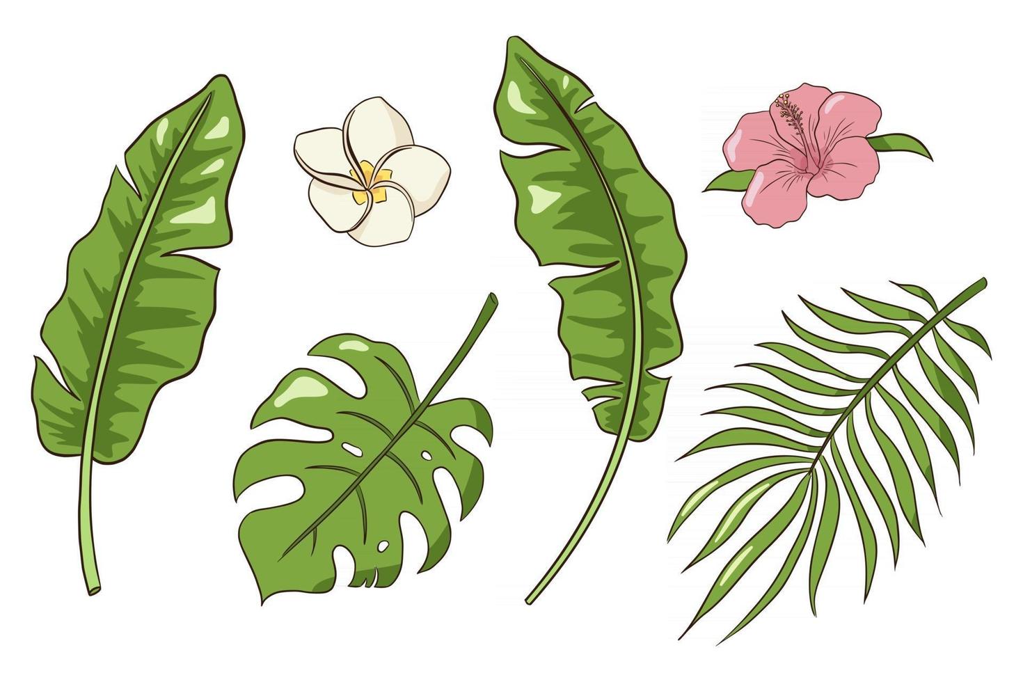 Hand Drawn Tropical Flowers and Leaves Vector Isolated Elements Collection