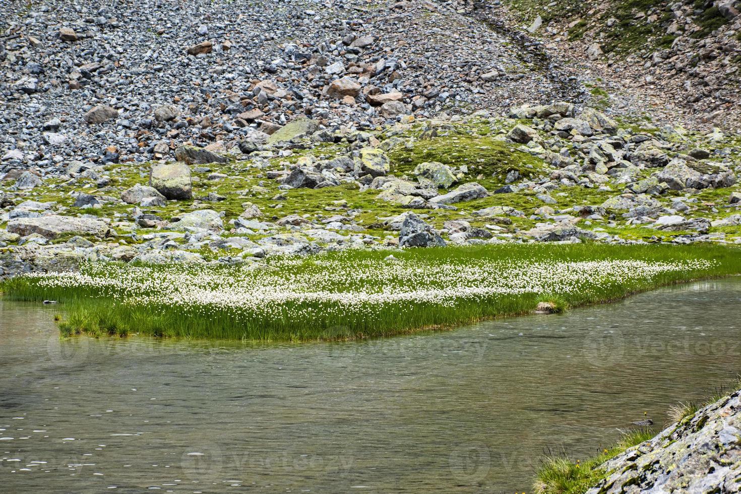 Pequeño lago alpino en los Alpes austríacos del Tirol foto