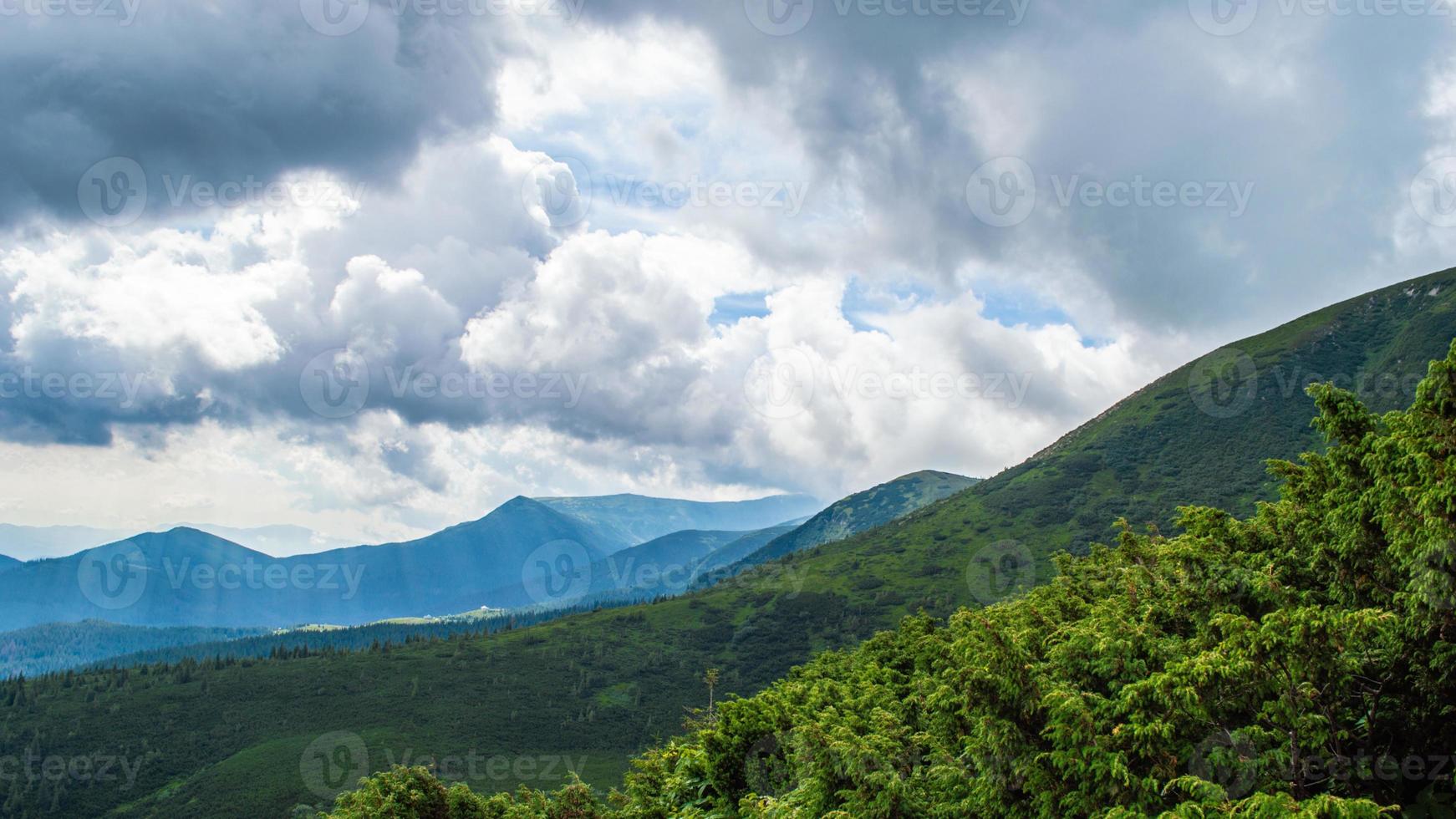 Panorama de las montañas de los Cárpatos de colinas verdes en la montaña de verano foto