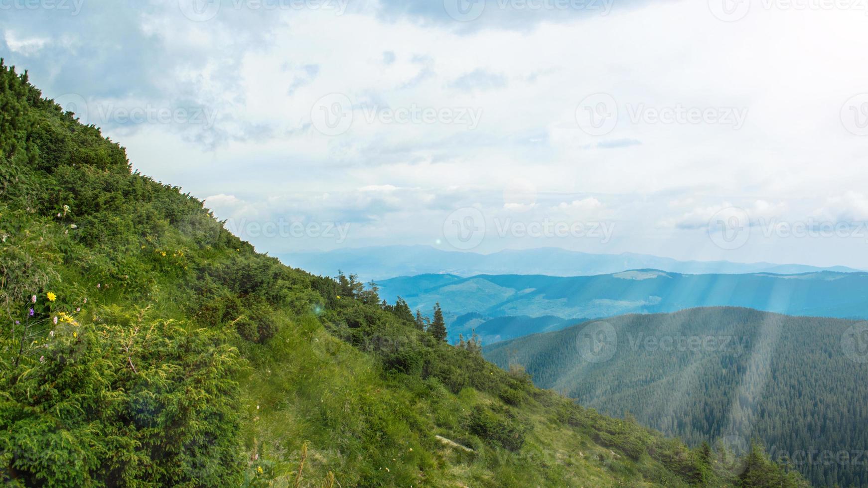 Carpathian Mountains Panorama of green hills in summer mountain photo