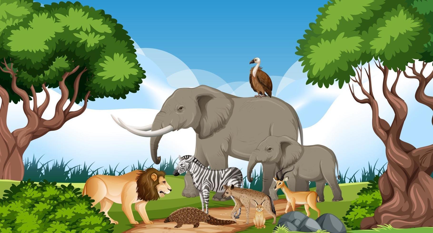 Grupo de animales salvajes africanos en la escena del bosque vector