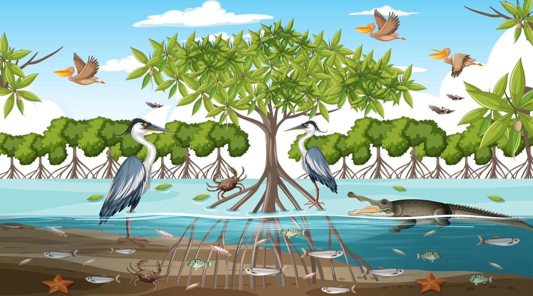 Mangrove forest landscape scene at daytime with many different animals vector