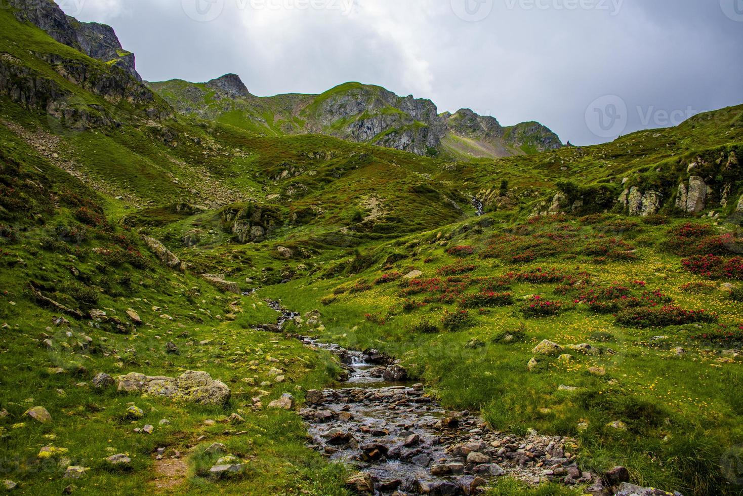 Alpes de Trentino, cerca del lago de Levico en un día de verano foto