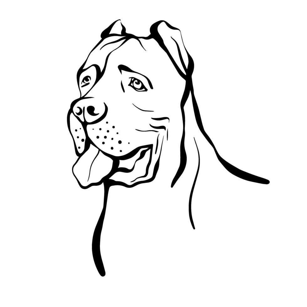 Cane Corso sketch. Portrait of a dog of the Cane Corso breed. Vector illustration isolated on a white background