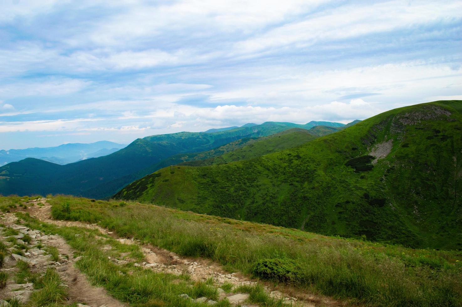 Carpathian Mountains Panorama of green hills in summer mountain photo