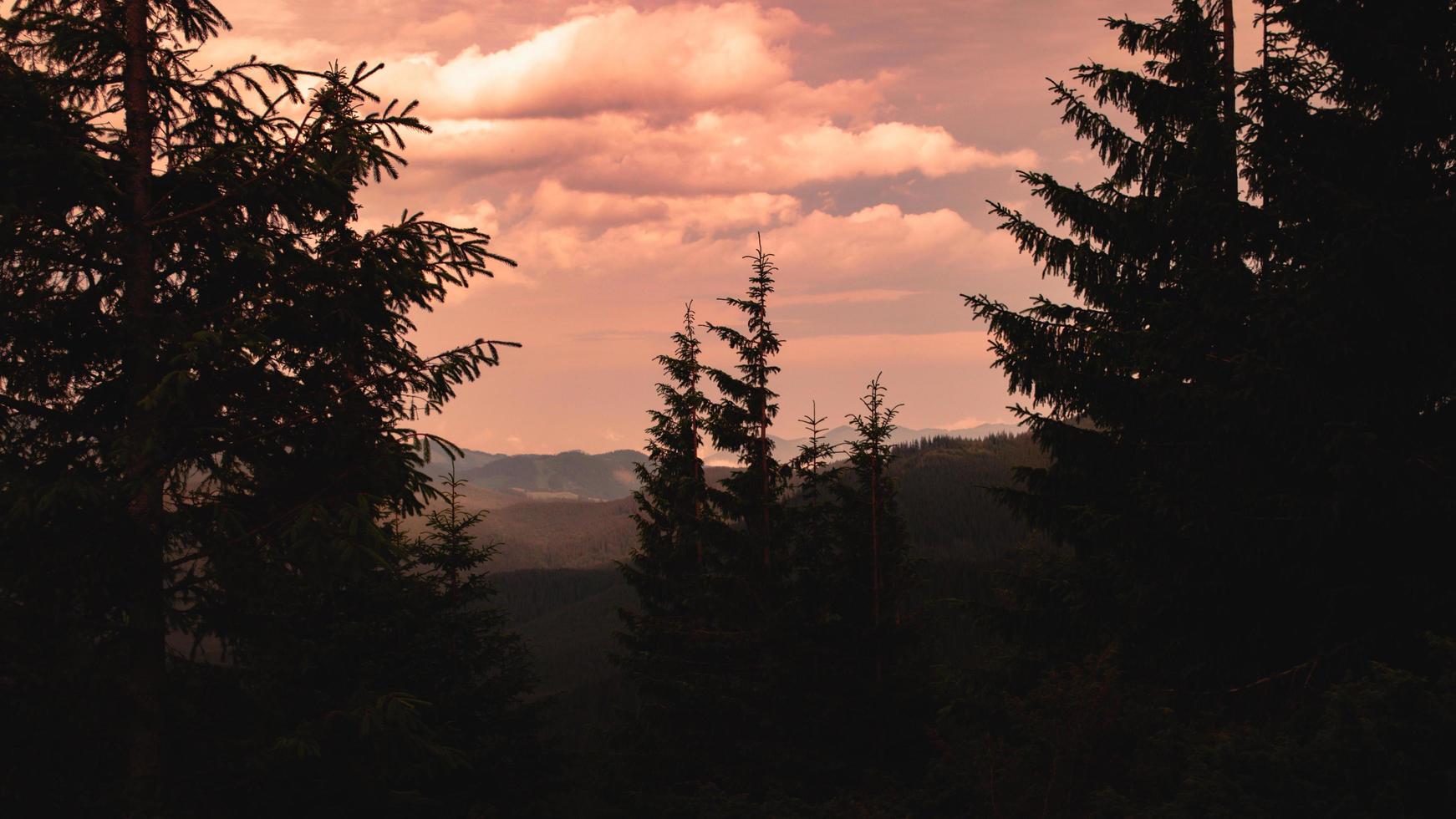 Panorama de las montañas de los Cárpatos de colinas verdes en la montaña de verano foto
