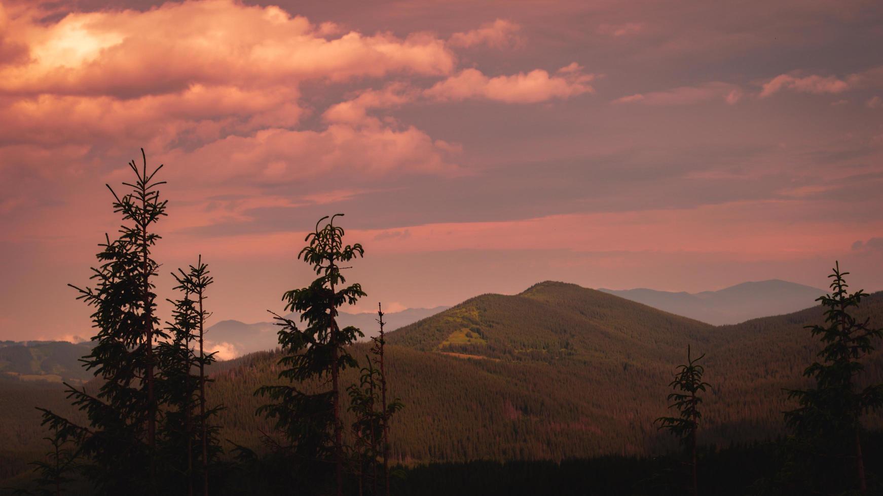 Carpathian Mountains Panorama of green hills in summer mountain photo