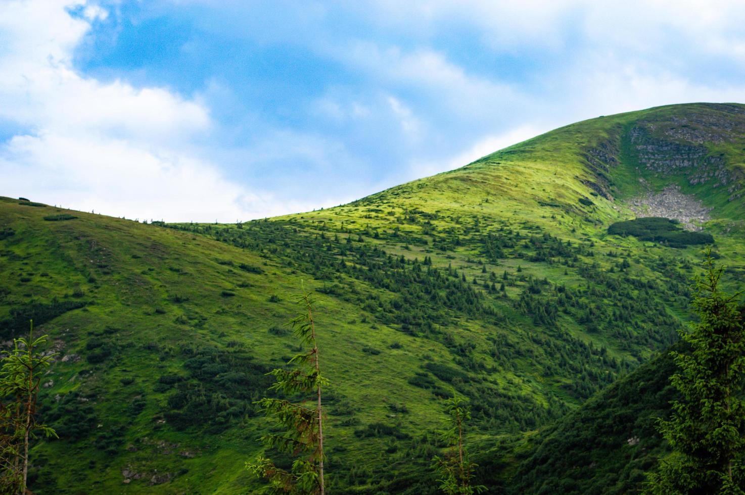 Carpathian Mountains Panorama of green hills in summer mountain photo