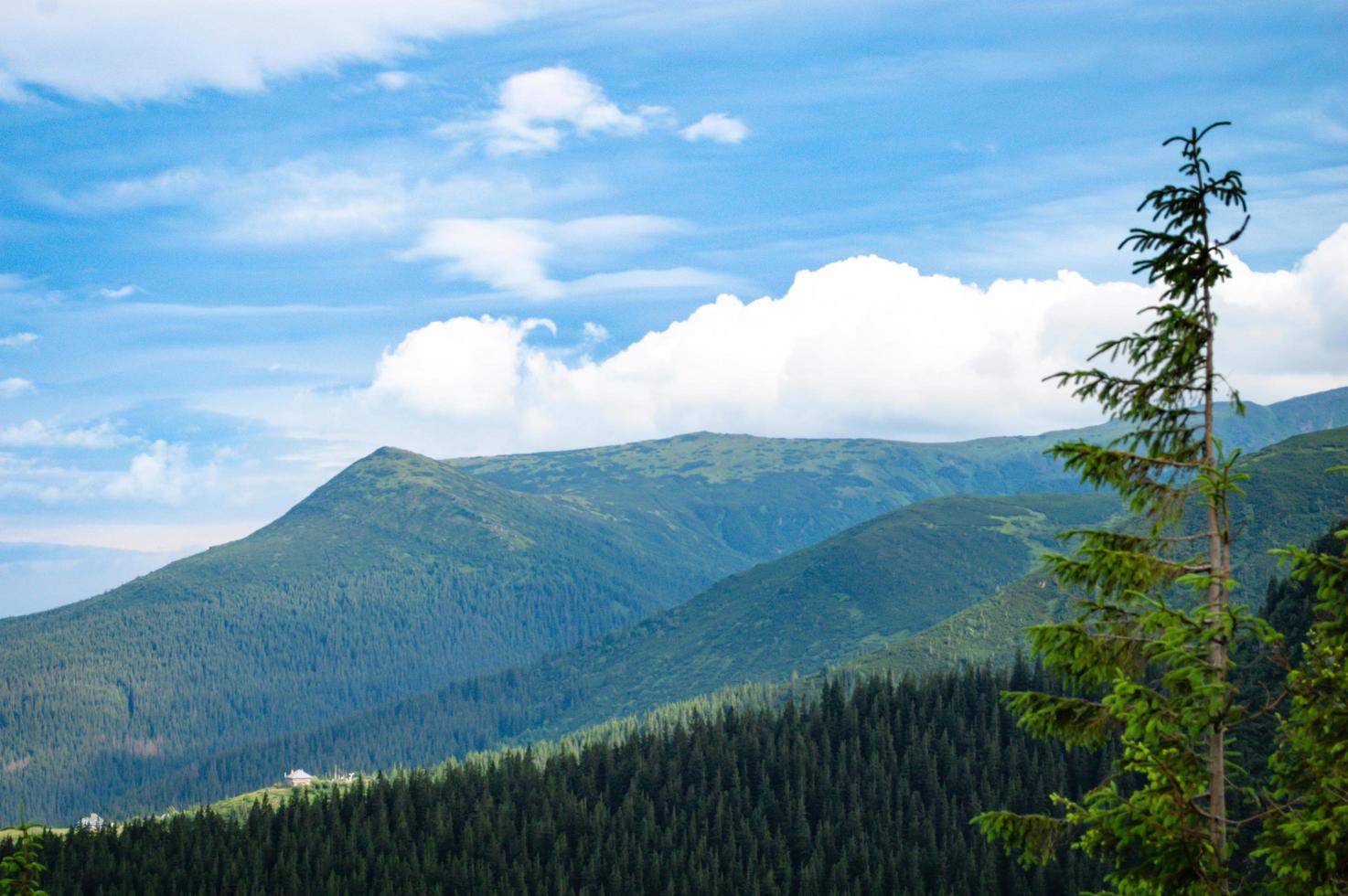 Carpathian Mountains  Panorama of green hills in summer mountain photo