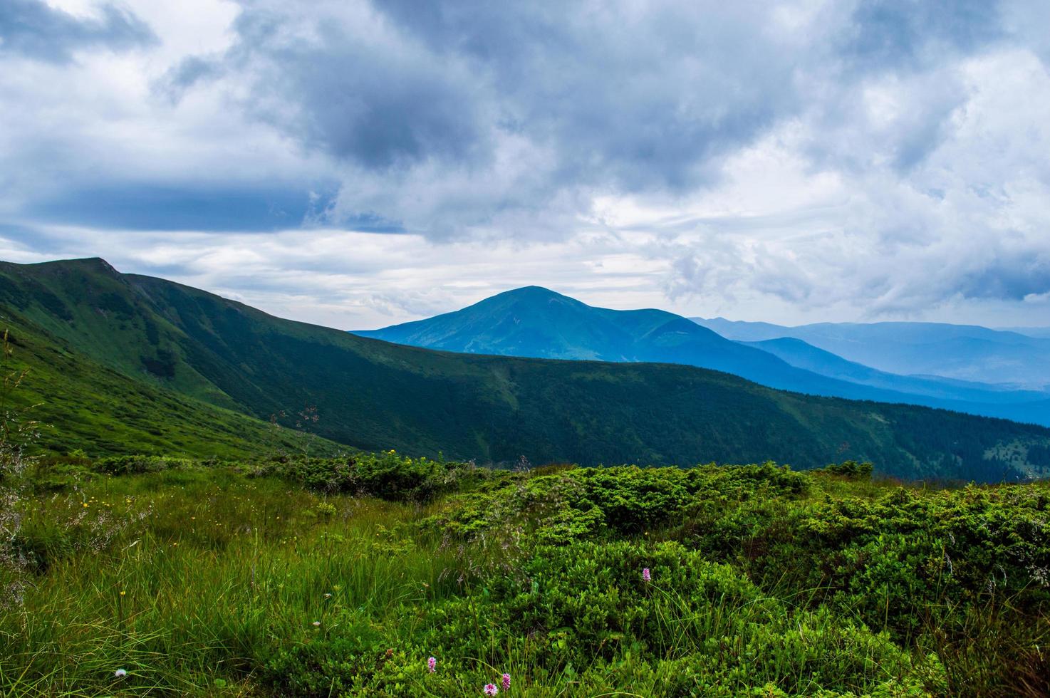 Carpathian Mountains Panorama of green hills in summer mountain photo