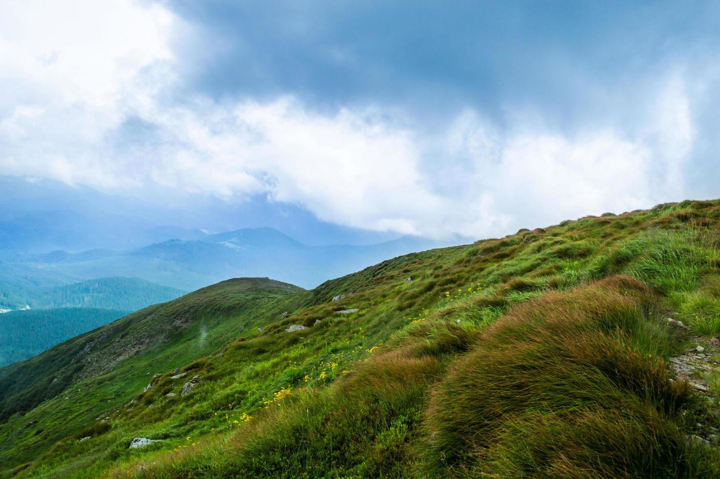 Panorama de las montañas de los Cárpatos de colinas verdes en la montaña de verano foto