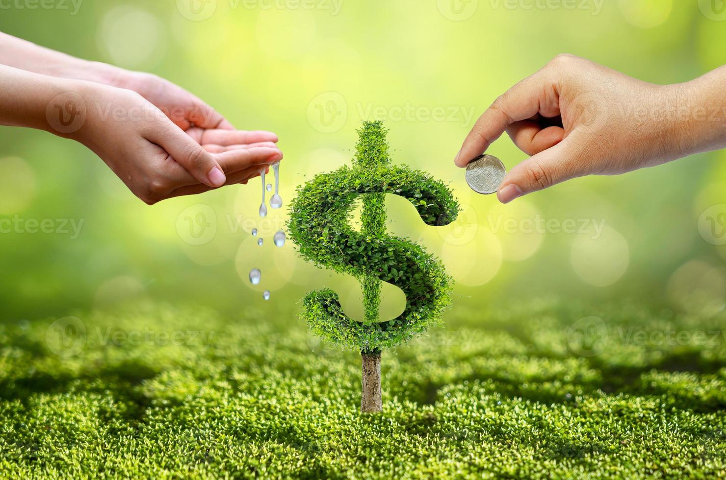 Tree grows into a shape pointing up the concepts of financial business growth photo