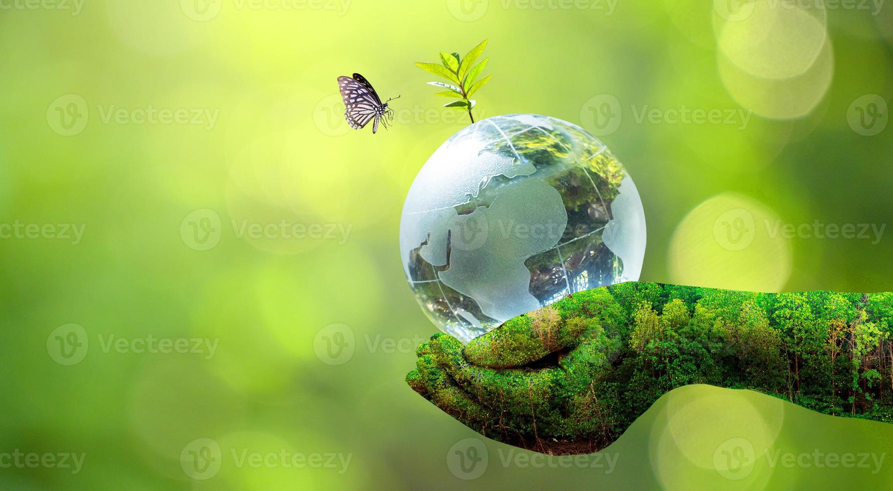 concepto de salvar el mundo, salvar el medio ambiente foto