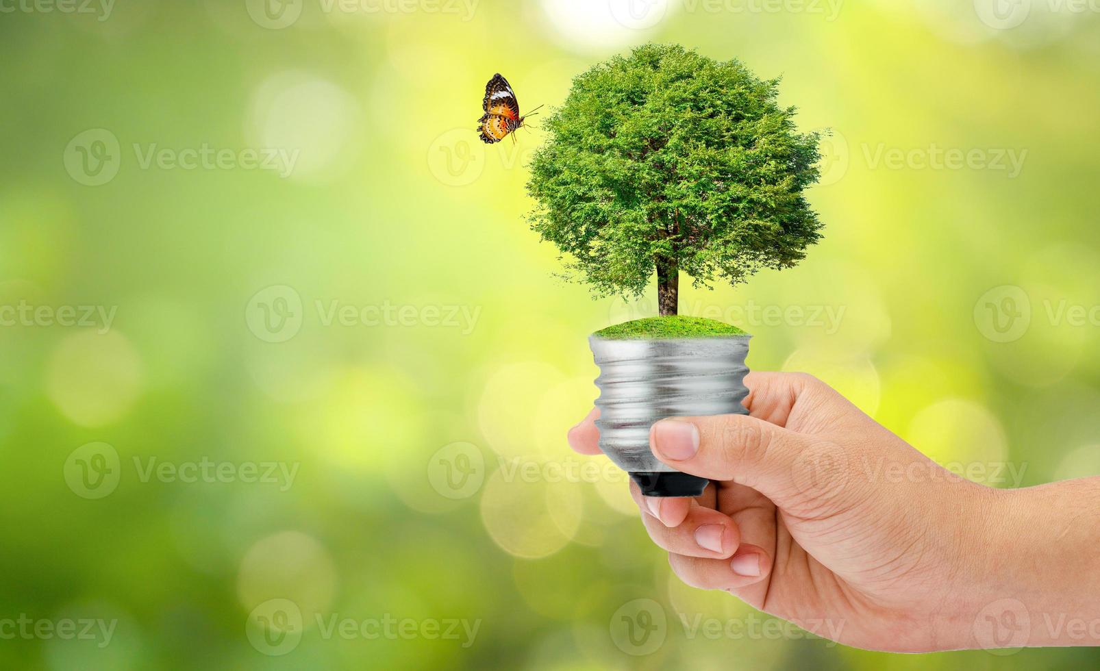 Concept of save the world, save the environment photo