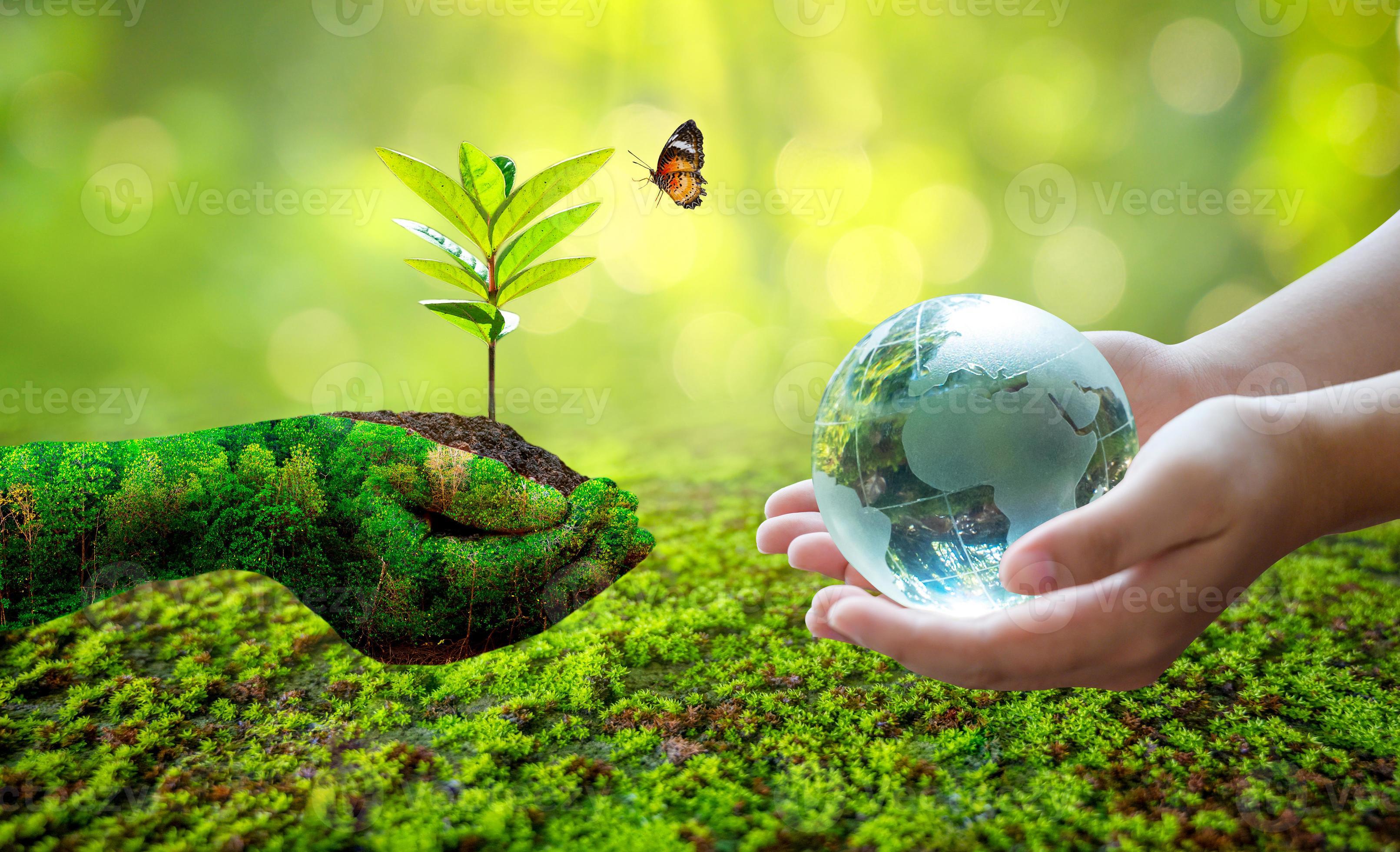 Concept Save the world save environment The world is in the grass of the  green bokeh background 2445915 Stock Photo at Vecteezy