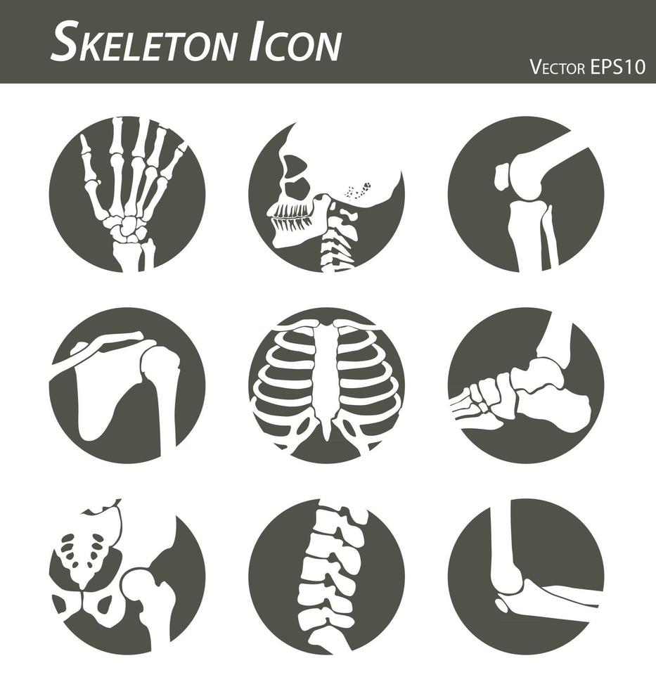 icono de esqueleto mano dedo muñeca cabeza cuello muslo rodilla pierna hombro brazo antebrazo tórax tobillo pie pelvis cadera columna vertebral vértebras codo en blanco y negro diseño plano vector