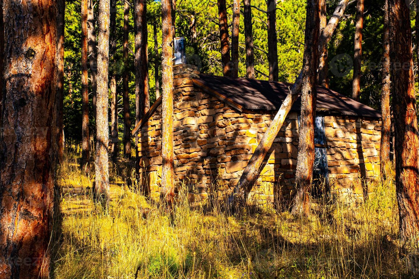 Cobertizo en el bosque de pinos en los senderos del parque Chautauqua en Boulder, Colorado foto