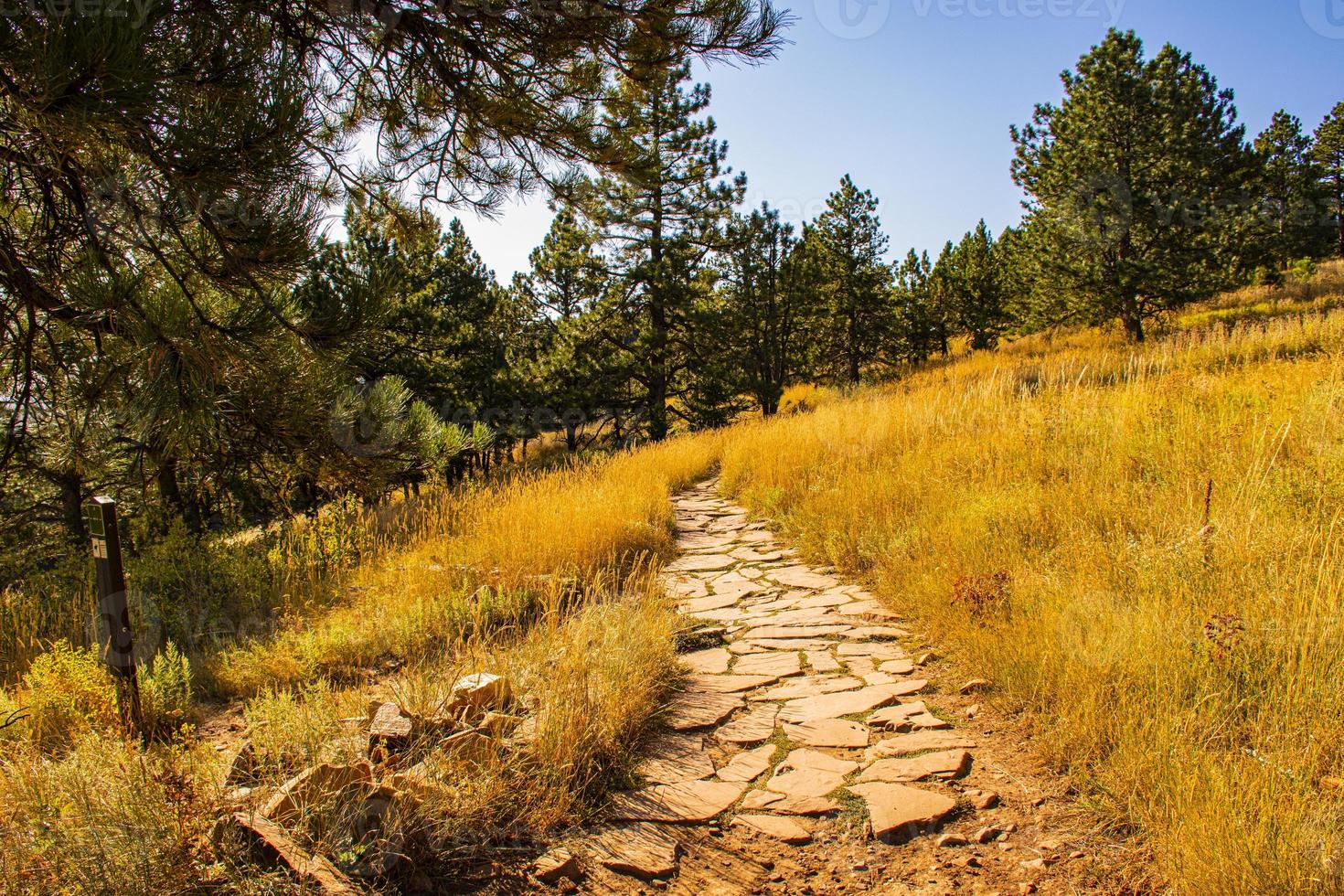 día de verano en el parque chautauqua en boulder, colorado foto