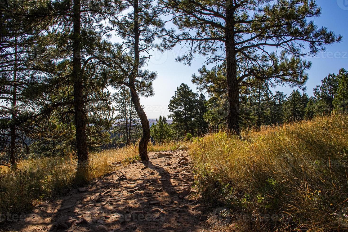 Path in the Chautauqua Park in Boulder, Colorado photo