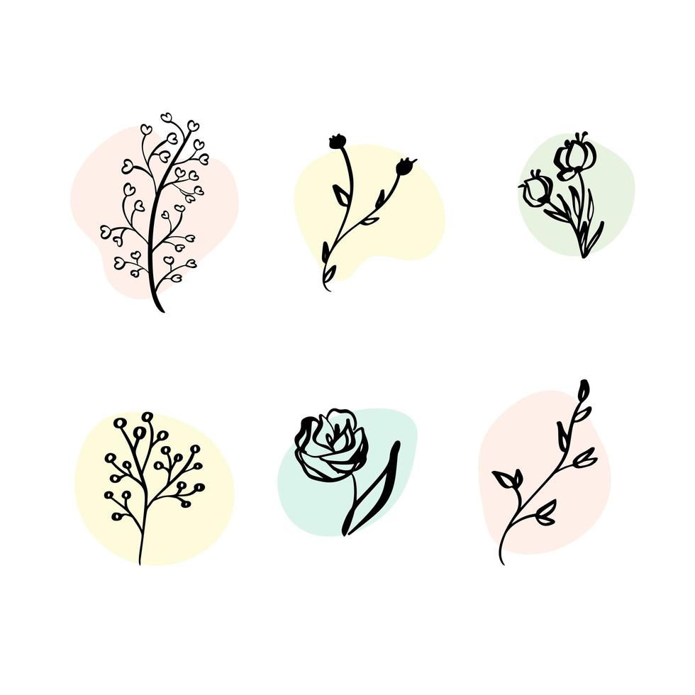 Vector Set botanic elements wildflowers, herbs. Collection garden and wild foliage, flowers, branches. Illustration isolated plants on white background