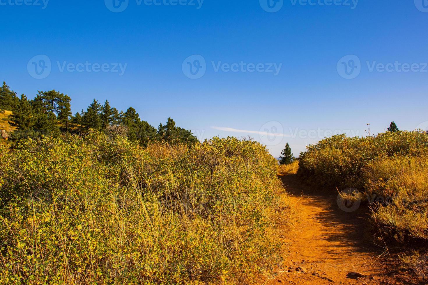 Path on the Chautauqua Park in Boulder, Colorado photo