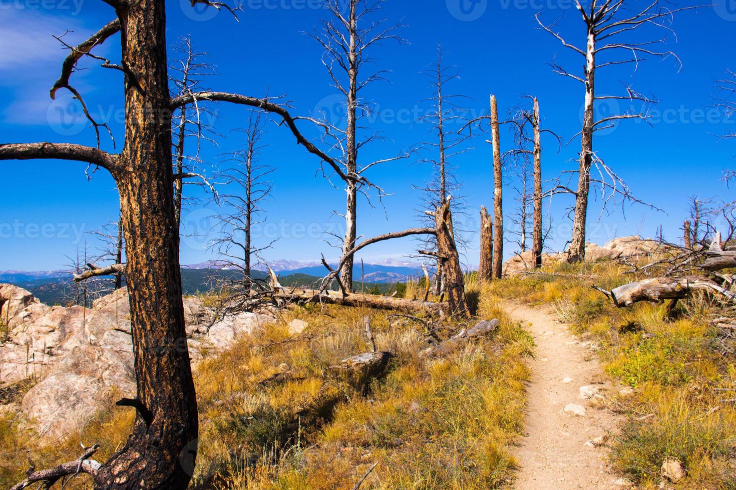 Camino en el parque Chautauqua en Boulder, Colorado foto